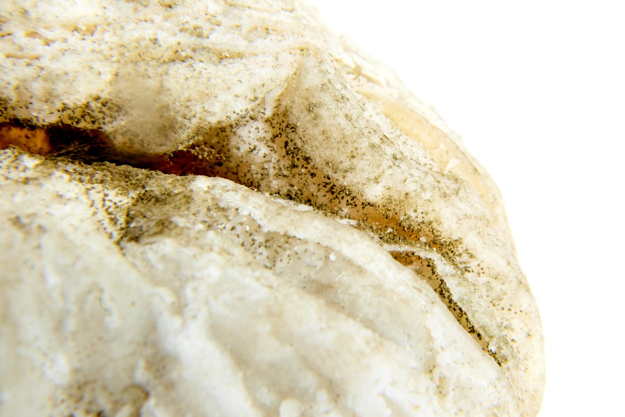 Close-up of bread crumb and texture